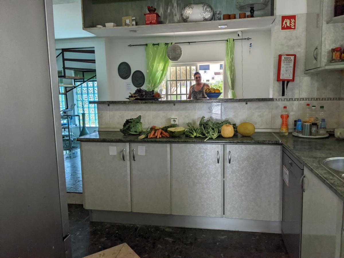 Dolphin House Hostel 法鲁区 外观 照片